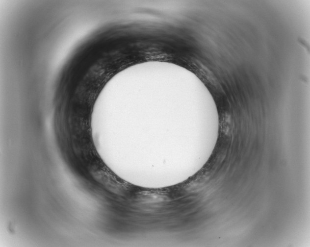 X0000098140763200805081020