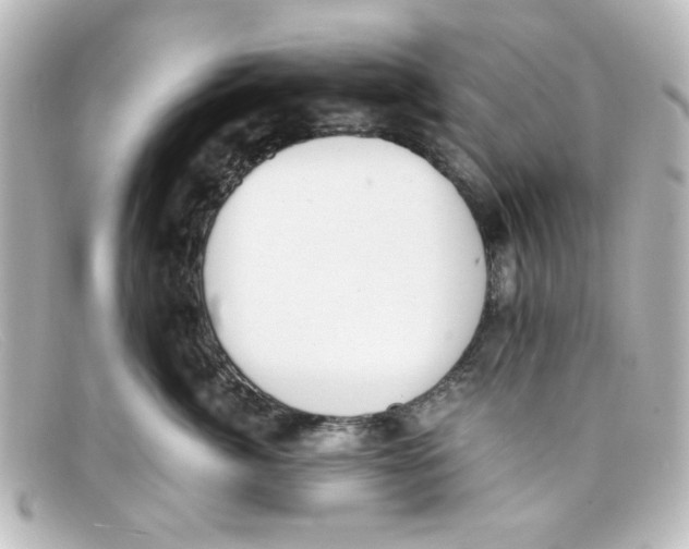 X0000098140764200805081020