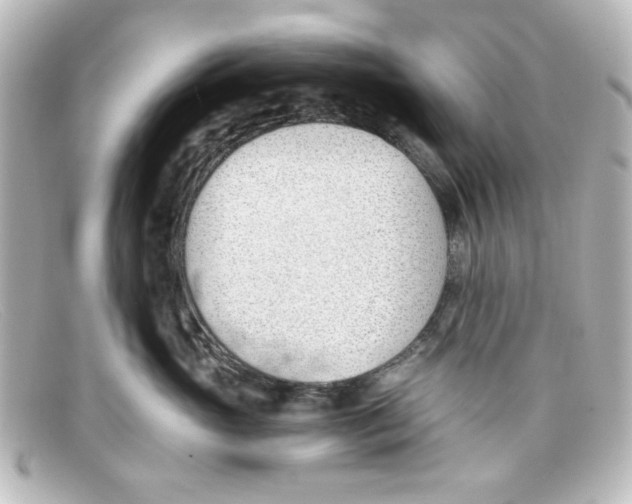 X0000098140765200805081020