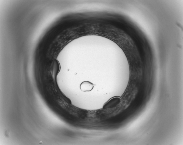 X0000098140766200805081020