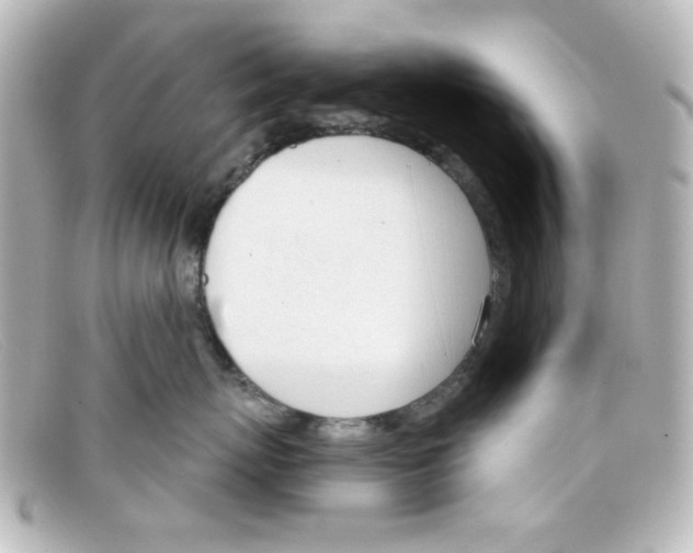 X0000098140767200805081020