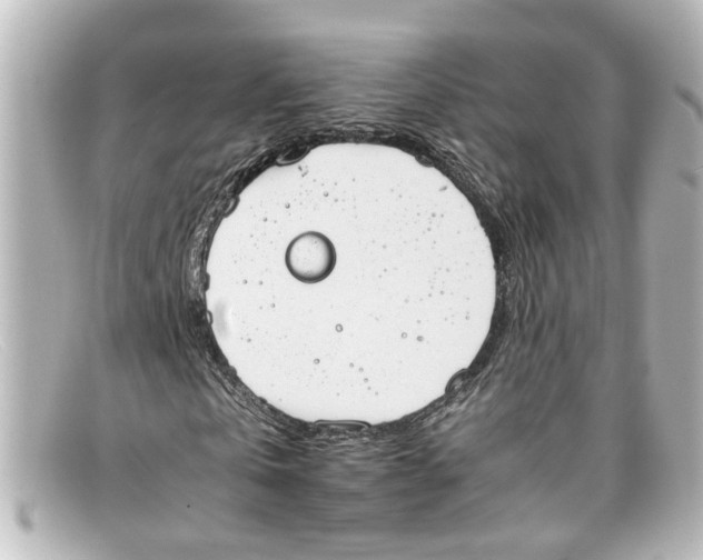 X0000098140769200805081019