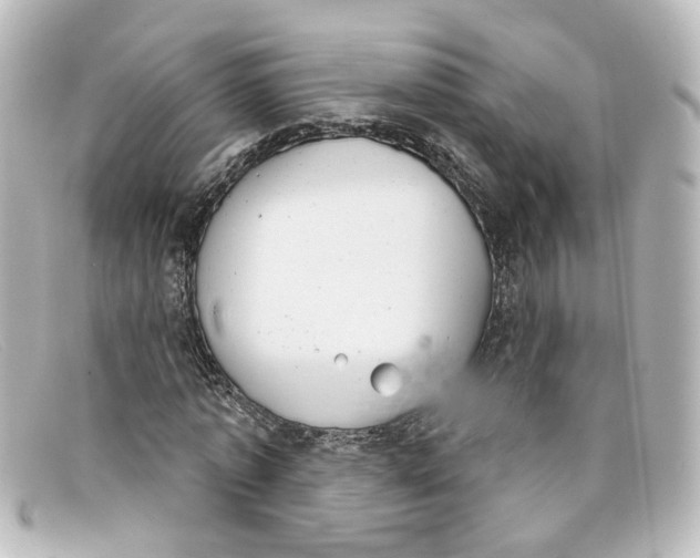 X0000098140773200805081019