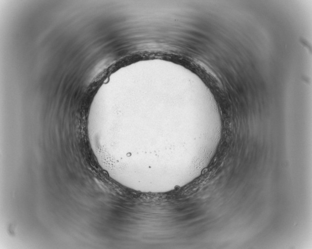 X0000098140775200805081019