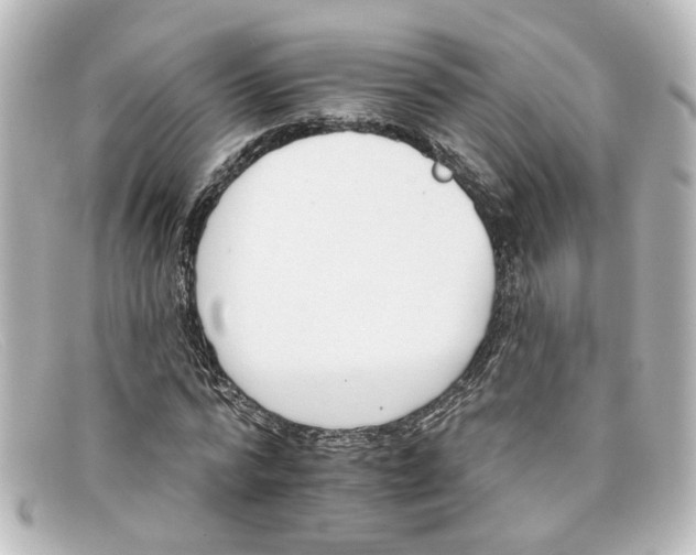 X0000098140776200805081019