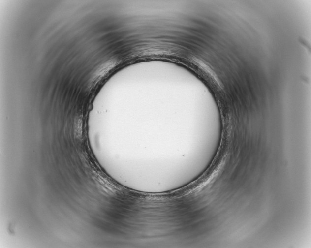 X0000098140777200805081019