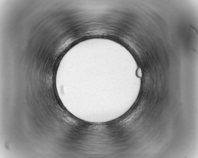 X0000098140778200805081019