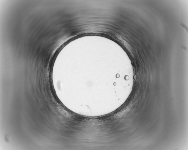 X0000098140779200805081019