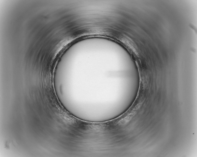 X0000098140781200805081019