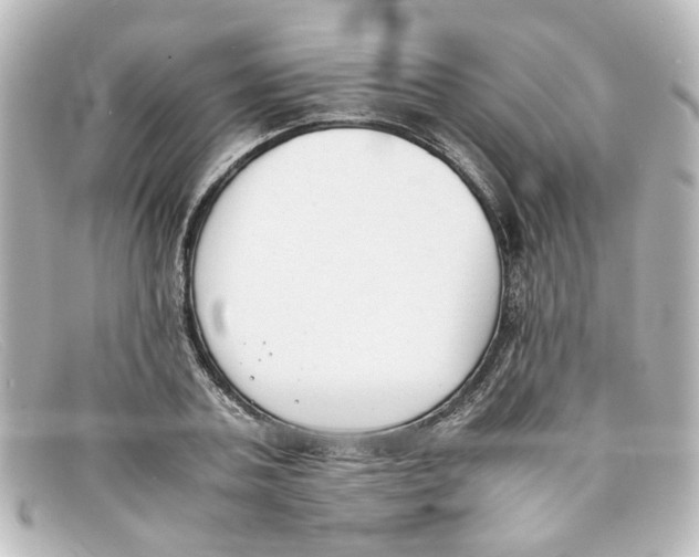 X0000098140787200805081019