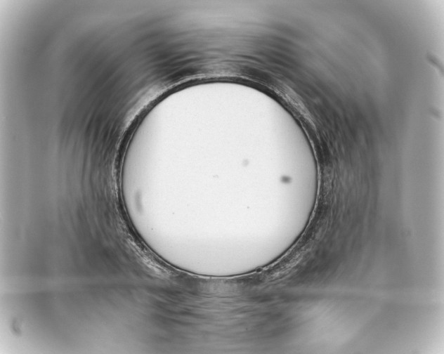 X0000098140789200805081019