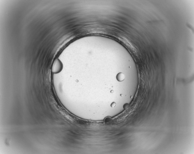 X0000098140790200805081019