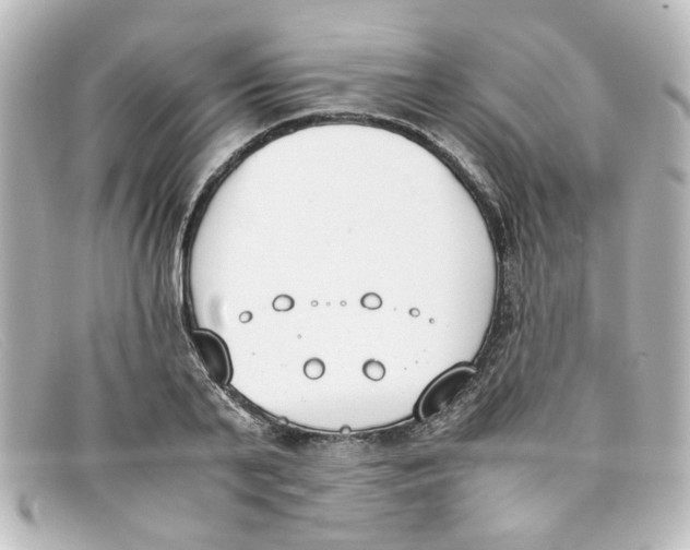 X0000098140791200805081019