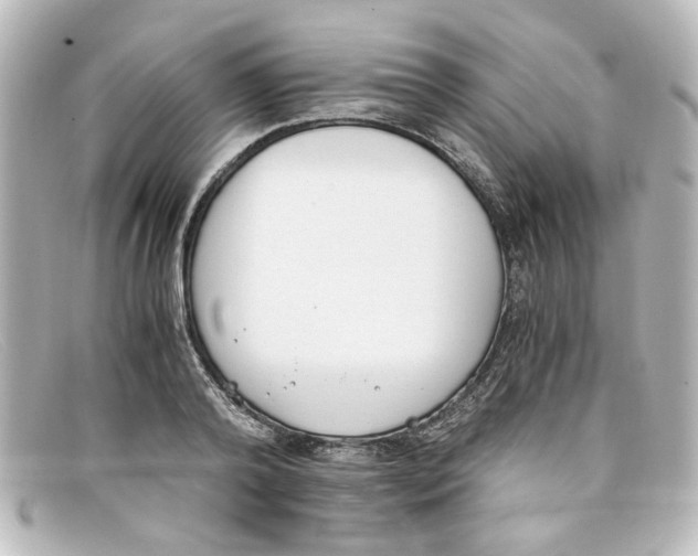 X0000098140792200805081019