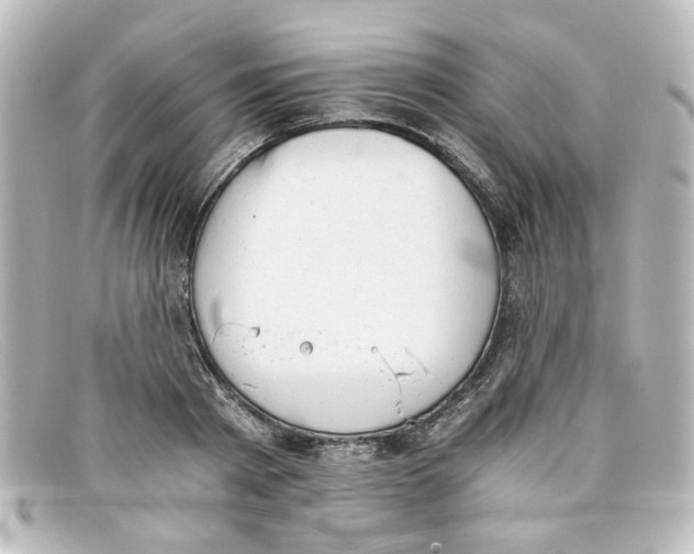 X0000098140793200805081019