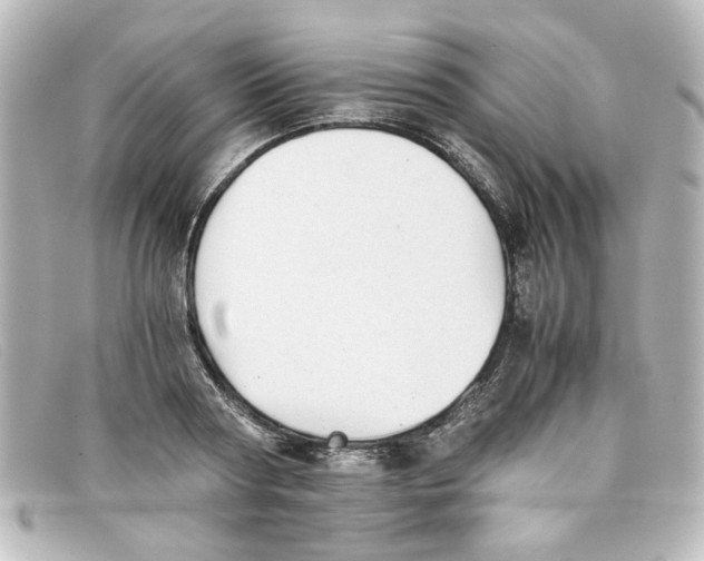 X0000098140794200805081019