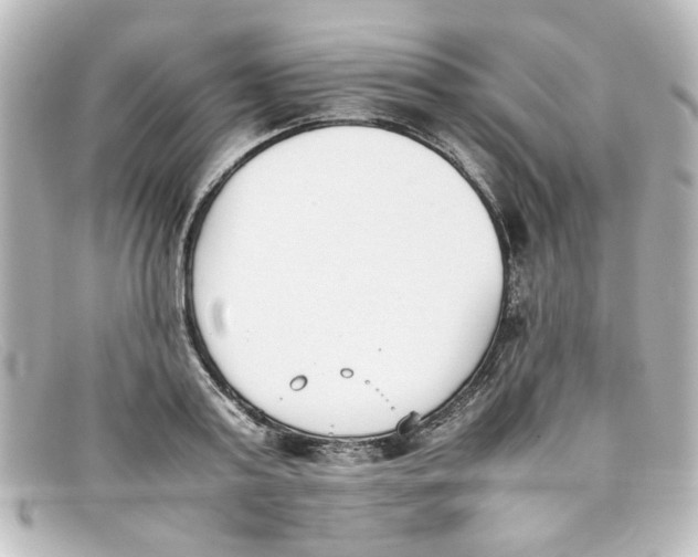 X0000098140795200805081019