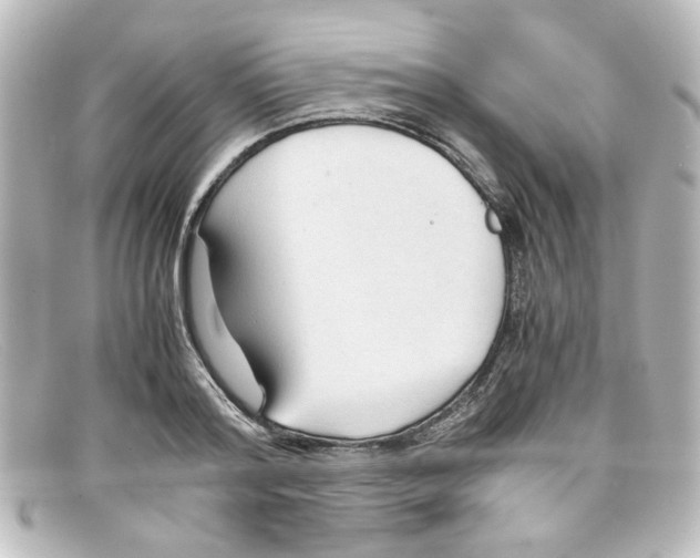 X0000098140796200805081019