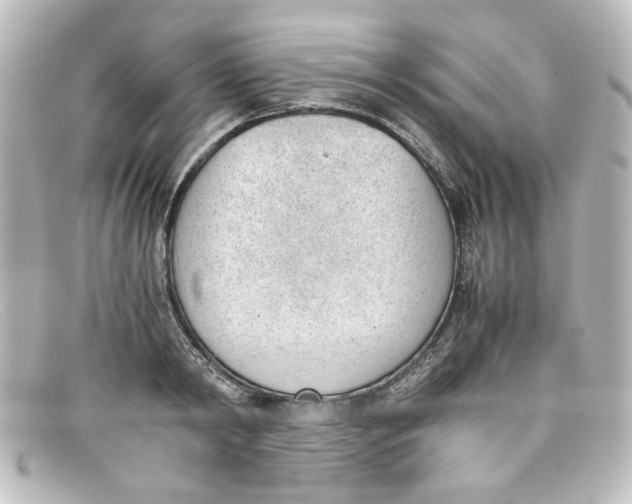 X0000098140798200805081019