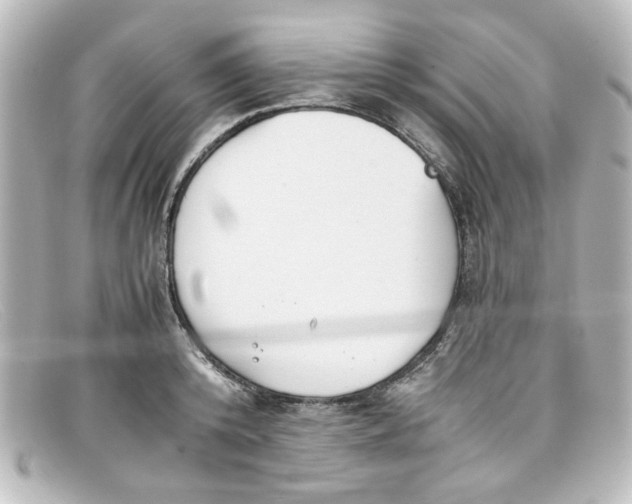 X0000098140800200805081019