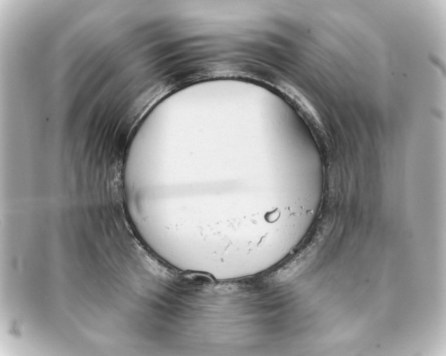 X0000098140801200805081019