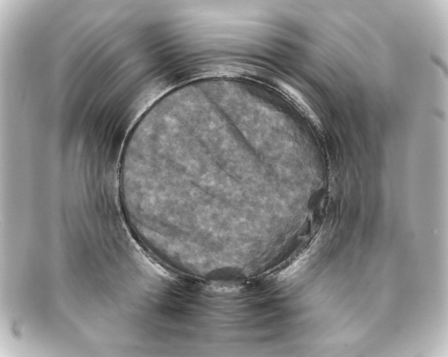 X0000098140802200805081019