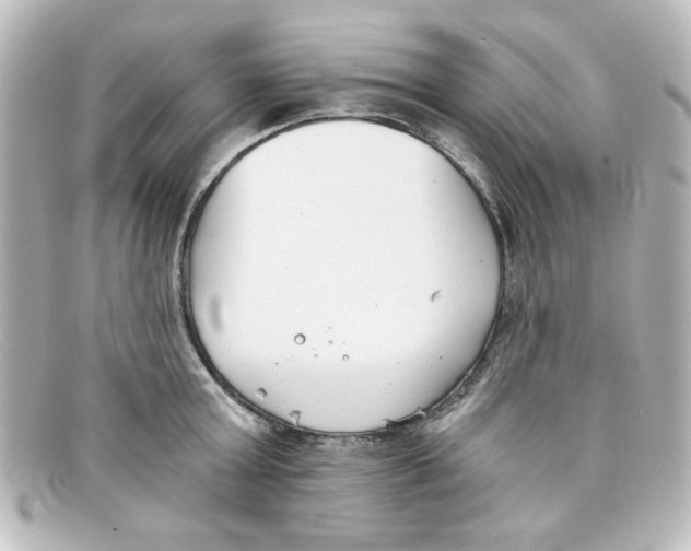 X0000098140803200805081019