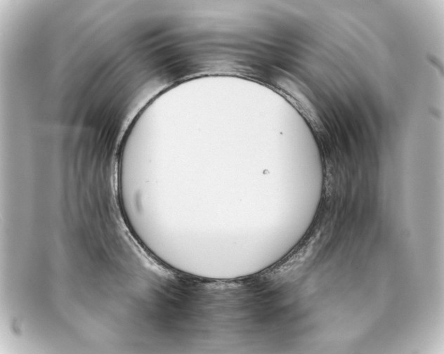 X0000098140804200805081019