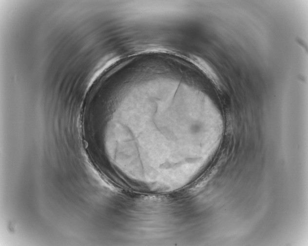 X0000098140806200805081019