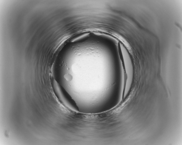 X0000098140809200805081019