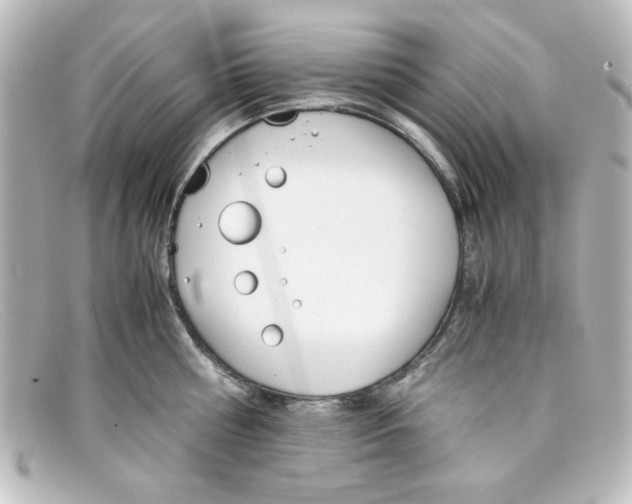 X0000098140810200805081019