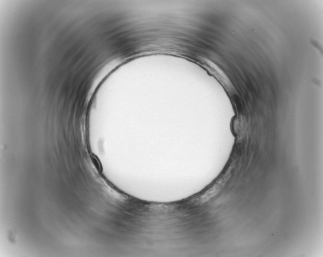 X0000098140812200805081019