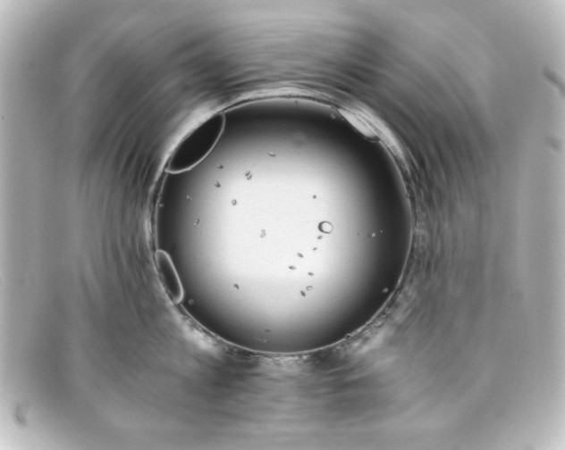 X0000098140813200805081019