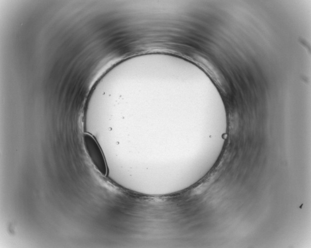 X0000098140814200805081019