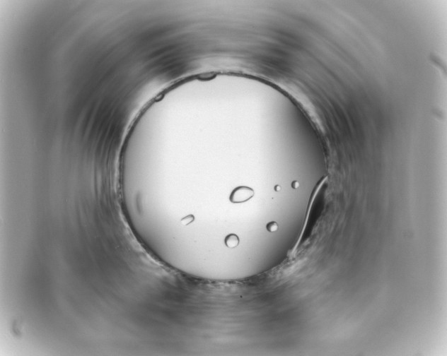 X0000098140815200805081019