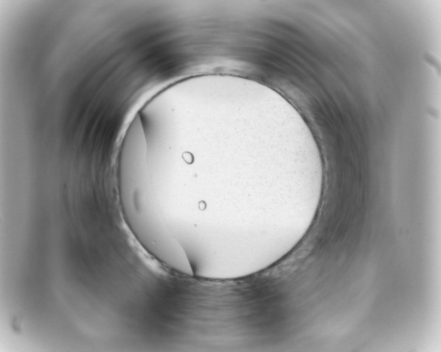 X0000098140816200805081018