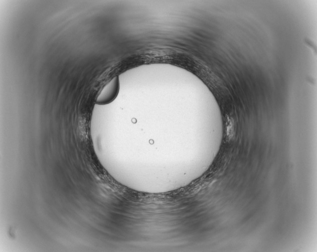 X0000098140819200805081018