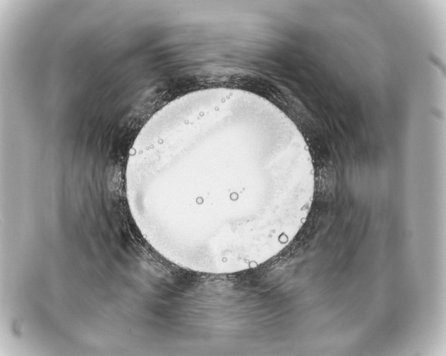 X0000098140820200805081018