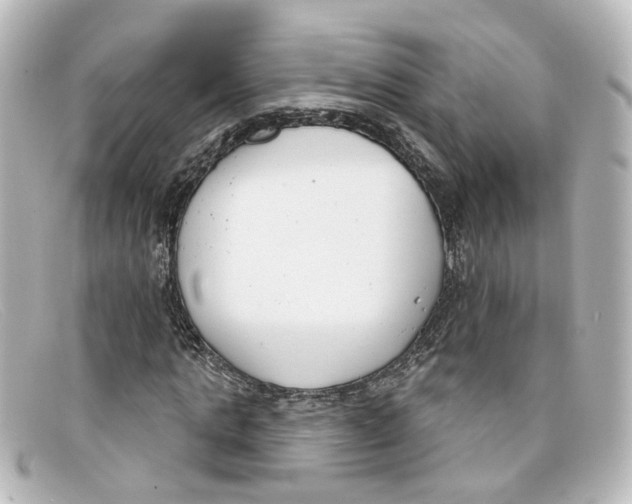 X0000098140821200805081018