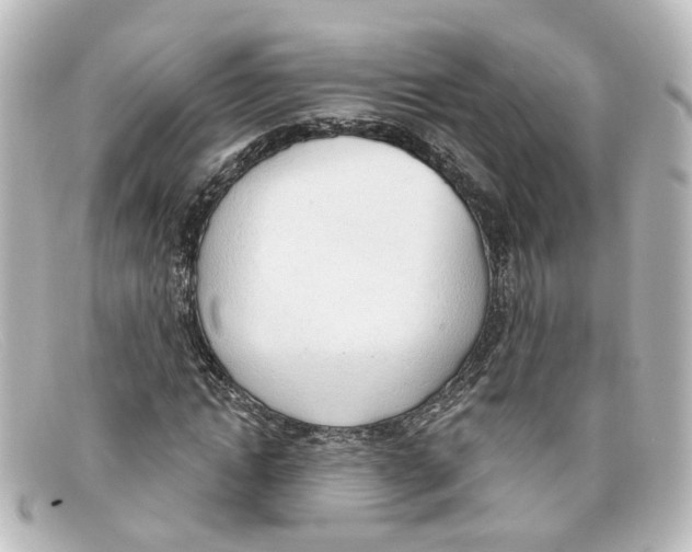 X0000098140822200805081018