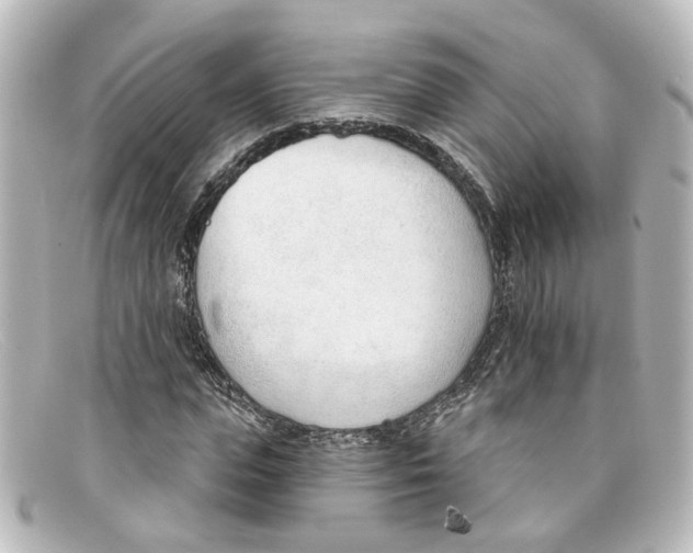 X0000098140823200805081018