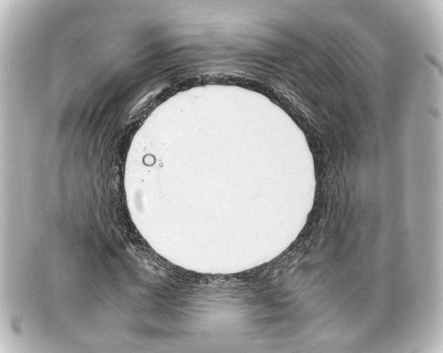 X0000098140824200805081018
