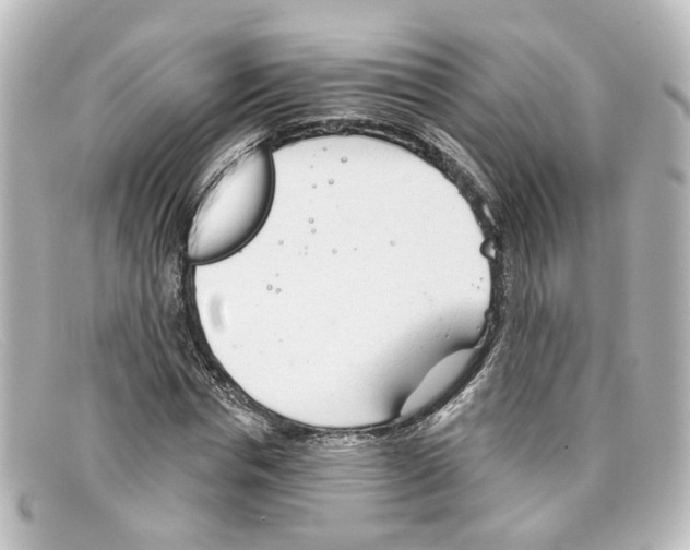 X0000098140826200805081018