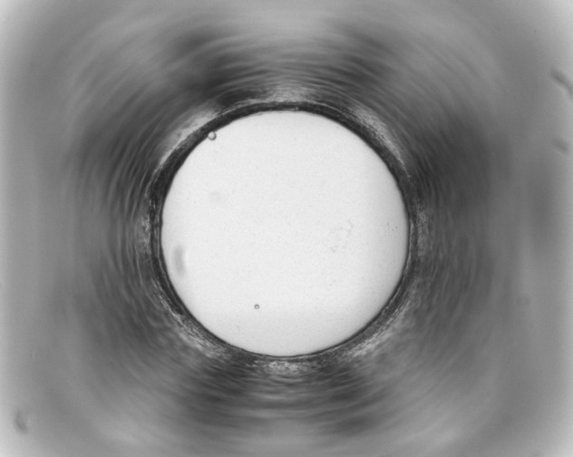 X0000098140827200805081018