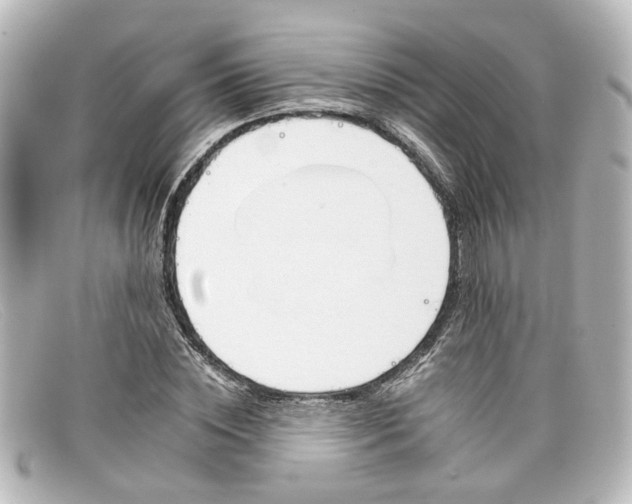 X0000098140828200805081018