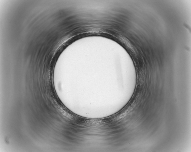 X0000098140831200805081018