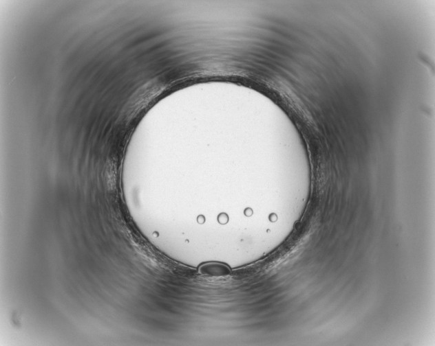 X0000098140833200805081018