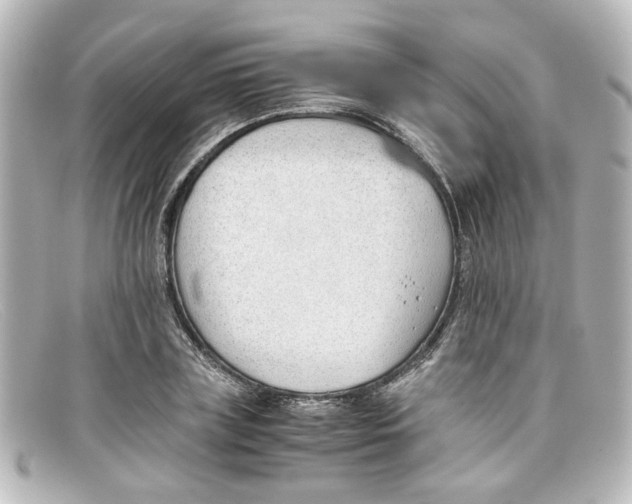 X0000098140835200805081018