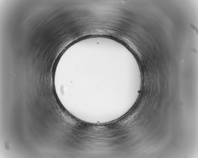 X0000098140837200805081018