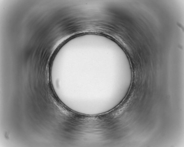 X0000098140838200805081018
